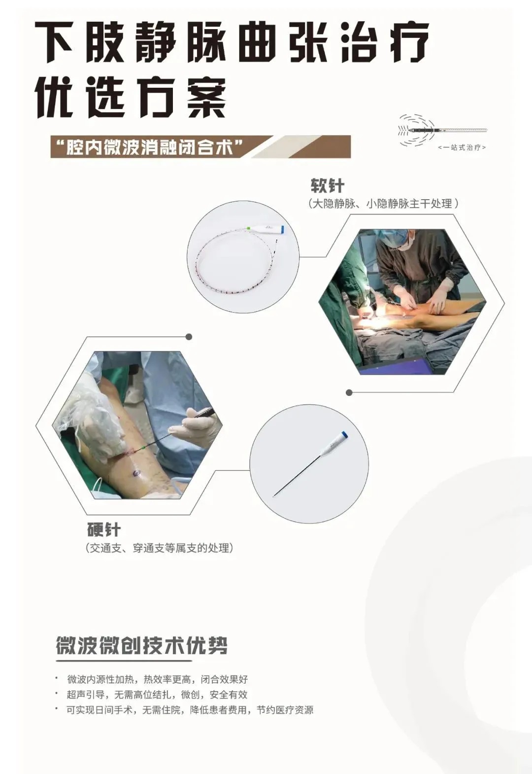 Endovenous Microwave Ablation of Lower Extremity Veins Workshop
